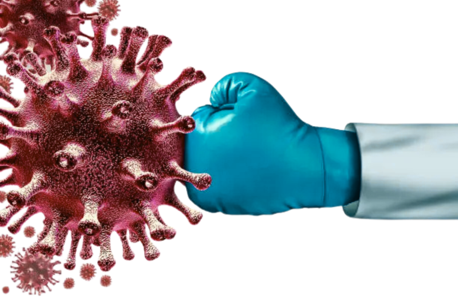 Lire la suite à propos de l’article LE SYSTÈME IMMUNITAIRE, PROTÉGEZ VOTRE INTÉGRITÉ