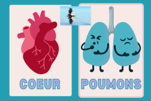 Lire la suite à propos de l’article LA COHÉRENCE CARDIAQUE, UN SOUFFLE POUR L’HARMONIE