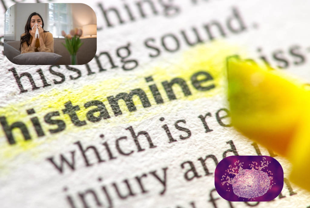 et si c'était l'histamine ?