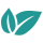 Feuille (1)